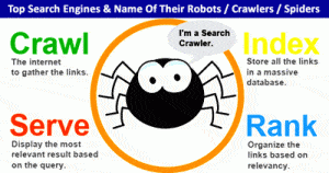 Search-Engines-Robots-Rank