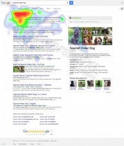 Google_Above_The_Fold_Without_Ads